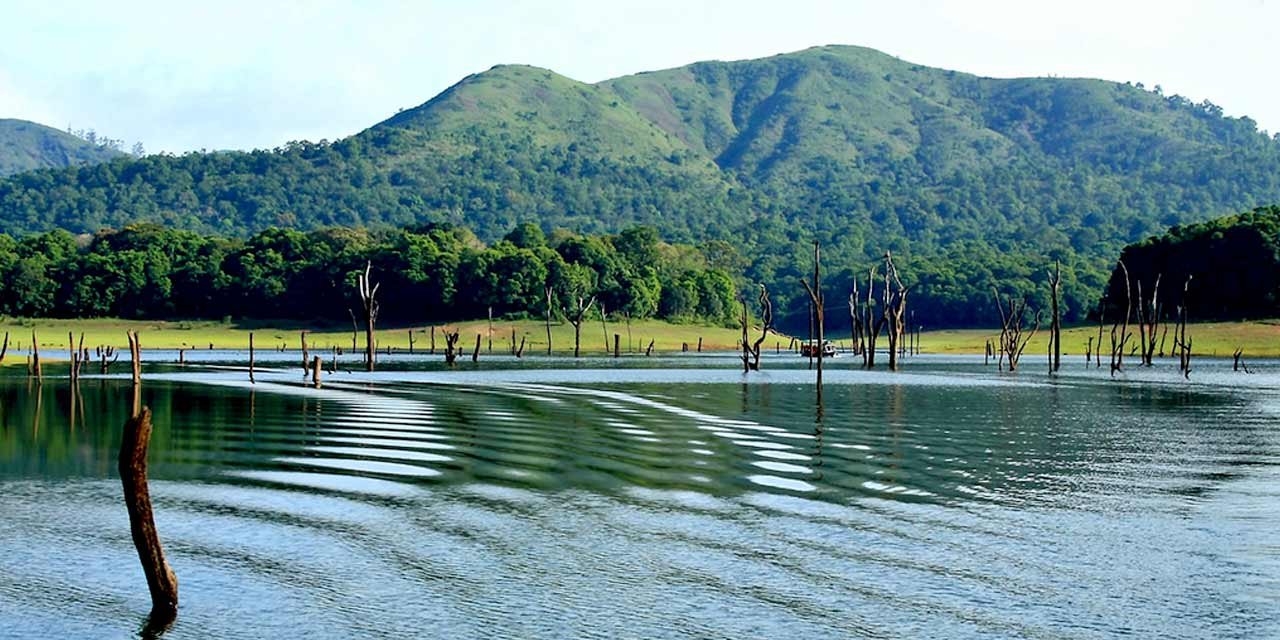 Thekkady & Periyar Wildlife Guide